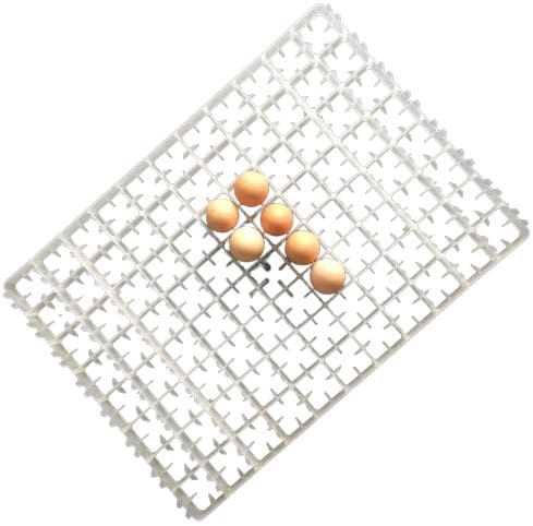 Wchina 88 Egg Setter Tray